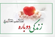 بیمار مرگ مغزی که با اهدای عضو خود به چند بیمار دیگر حیات دوباره بخشید.